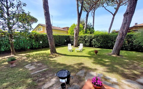 Casa La Pineta: Plant, Property, Sky, Flowerpot, Botany, Tree, Building, Cloud, Grass, Arecales