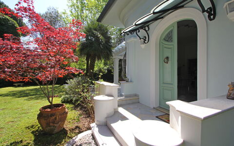 Villa Le Macchie: Plant, Property, Flower, Building, Flowerpot, Lighting, Tree, Architecture, Houseplant, Shade