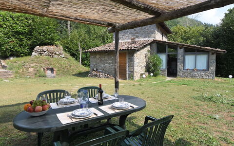 Casa Antelminelli: Plant, Furniture, Property, Table, Chair, Building, Outdoor Furniture, Natural Landscape, Outdoor Table, Tree