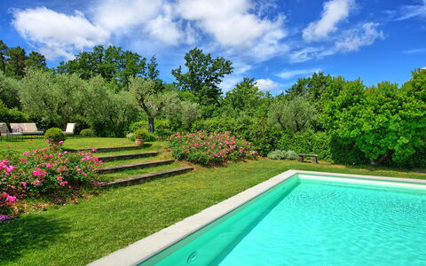 Villa Mami: Plant, Water, Sky, Cloud, Property, Green, Natural Landscape, Tree, Flower, Grass