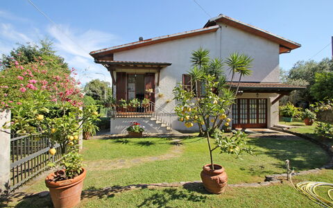 Casa Il Prato: Plant, Sky, Property, Flower, Building, Window, Flowerpot, Tree, Land Lot, Vegetation