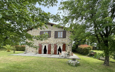 Pinocchio: Plant, Building, Window, Tree, Land Lot, House, Grass, Sky, Cottage, Landscape