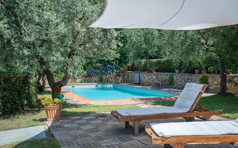 Chianti Hills Apartment, Pool, Ac: Plant, Water, Property, Furniture, Swimming Pool, Shade, Outdoor Furniture, Interior Design, Sunlounger, Tree