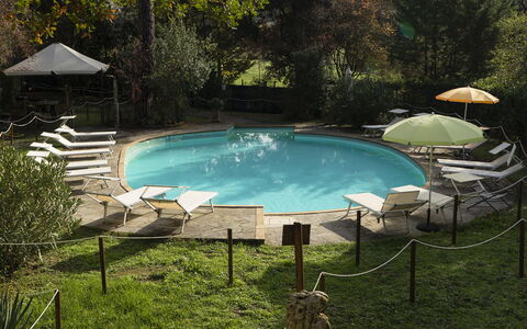 Borgo Dolciano: Water, Plant, Swimming Pool, Shade, Outdoor Furniture, Natural Landscape, Grass, Tree, Chair, Leisure