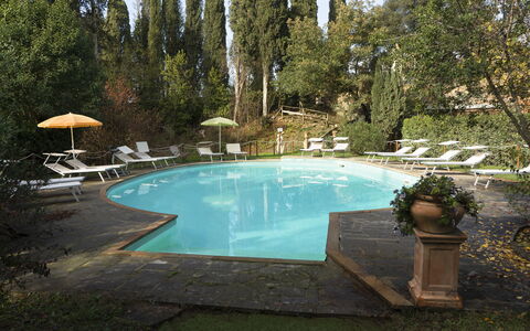 Borgo Dolciano: Water, Plant, Swimming Pool, Tree, Body Of Water, Outdoor Furniture, Shade, Leisure, Real Estate, Landscape