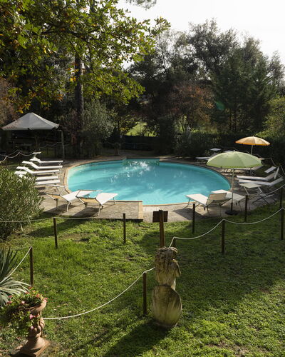 Borgo Dolciano: Water, Plant, Swimming Pool, Shade, Outdoor Furniture, Natural Landscape, Grass, Tree, Chair, Leisure