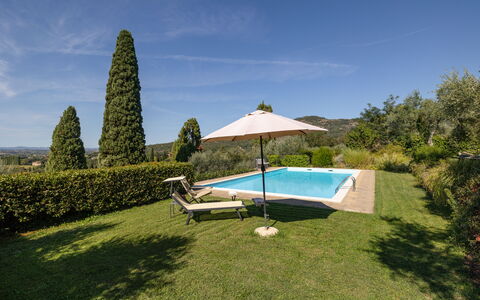 Villa Delle Rose: Sky, Cloud, Water, Plant, Swimming Pool, Outdoor Furniture, Umbrella, Shade, Tree, Land Lot