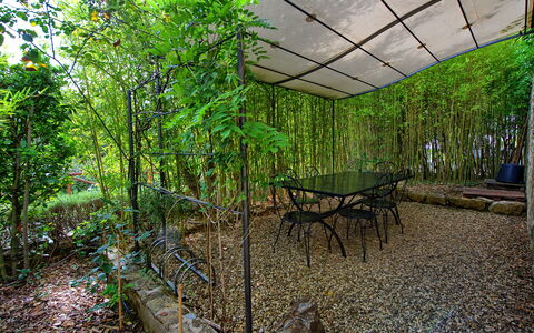 Casa Minuccia: Plant, Table, Shade, Natural Landscape, Vegetation, Tree, Terrestrial Plant, Outdoor Furniture, Biome, Wood