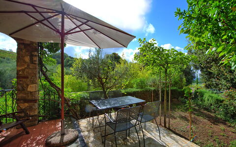 Casa Minuccia: Plant, Property, Sky, Plant Community, Cloud, Shade, Table, Botany, Outdoor Furniture, Building