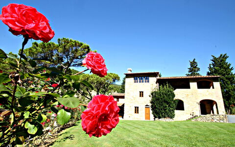Residence Marino: Flower, Red, Plant, Petal, Sky, Spring, House, Summer, Landscape