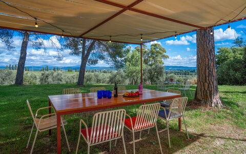 Poggetti San Luigi Country Home Follonica: Table, Plant, Furniture, Property, Cloud, Nature, Sky, Chair, Shade, Outdoor Table