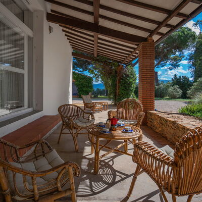 Poggetti San Luigi Country Home Follonica: Plant, Furniture, Table, Property, Chair, Shade, Outdoor Furniture, Wood, Sky, Tree