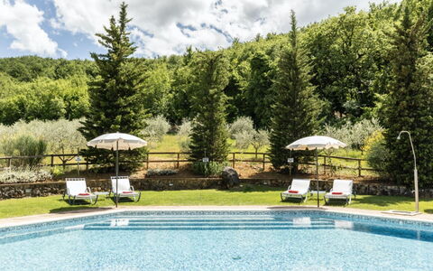 Podere Monti: Furniture, Swimming Pool, Resort, Outdoor Furniture, Sunlounger, Larch, Water Feature, Eco Hotel, Thermae