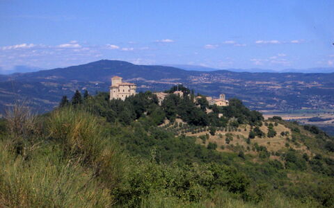 Borgo di Fighine: Tree, Nature, Vegetation, Hill, Landscape, Highland, Grassland, Plant Community, Rural Area, Hill Station