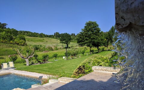 Podere della Bruciata: Shrub, Garden, Landscaping, Backyard, Swimming Pool, Botanical Garden, Plantation, Water Feature, Evergreen