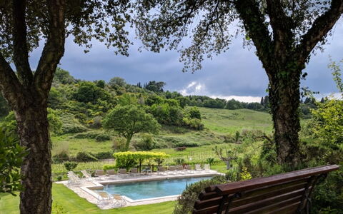 Podere della Bruciata: Tree, Shrub, Swimming Pool, Garden, Lawn, Landscaping, Eco Hotel, Backyard, Resort