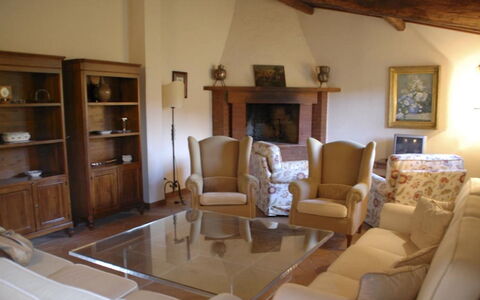 Magnolia e Camelia: Furniture, Interior Design, Flooring, Wood, Room, Floor, Living Room, Table, Chair, Couch