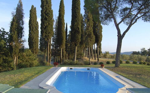 Santo Stefano: Swimming Pool, Garden, Landscaping, Estate, Backyard, Shade, Villa, Evergreen, Hacienda