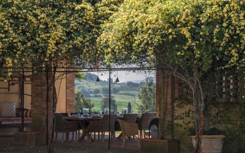 Villa Moscato: Garden, Shade, Houseplant, Backyard, Flowerpot