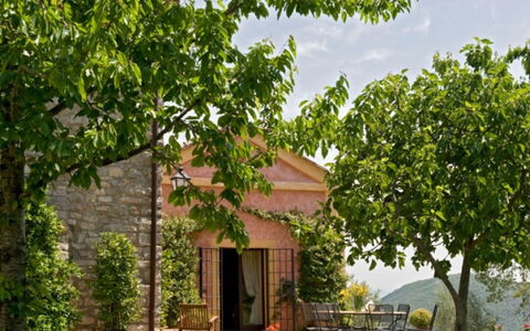 Villa Savino: Leaf, Shrub, Spring, Garden, Shade, Plantation