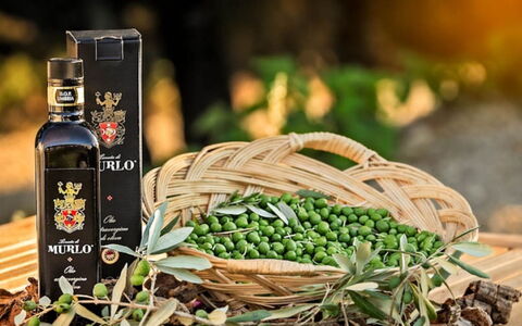 Villa Savino: Bottle, Wine, Glass Bottle, Food, Produce, Natural Foods