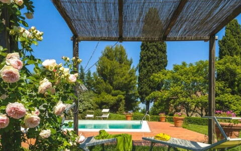 Podere Contignano: Shrub, Garden, Spring, Landscaping, Shade, Backyard, Yard, Eco Hotel, Hacienda, Botanical Garden