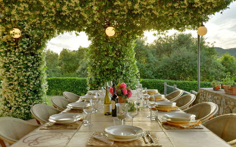 Villa Anima: Furniture, Table, Tableware, Outdoor Table, Garden, Tablecloth, Chair, Outdoor Furniture, Restaurant, Kitchen & Dining Room Table