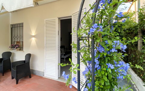 Casa Liliana Ac, Wifi, Forte Dei Marmi: Flowerpot, Houseplant, Shade, Outdoor Furniture, Chair, Home Door, Porch, Outdoor Table, Balcony, Courtyard