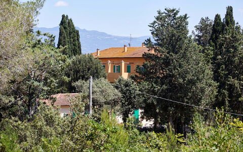 Poggio Cavallino Private Pool, Wifi, Maremma: Tree, Leaf, Shrub, Home, Larch, Evergreen, Pine Family