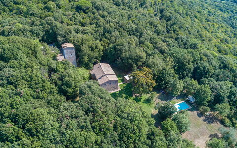 Villa Linchiano: Tree, Natural Environment, Nature, Vegetation, Forest, Plant Community, Rural Area, Jungle, Estate