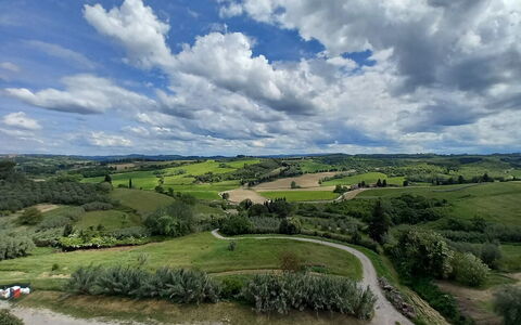 Ely Apartment In Villa, Wifi, Terricciola, Pisa: Sky, Cloud, Natural Landscape, Grassland, Horizon, Plain, Ecoregion, Landscape, Field, Land Lot