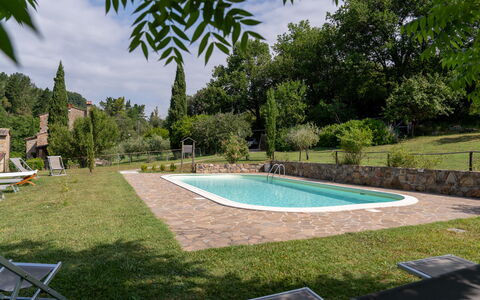 Montaione Country House Amarrante, Pool, Ac: Shrub, Swimming Pool, Garden, Backyard, Shade, Lawn, Landscaping, Estate, Yard, Farmhouse