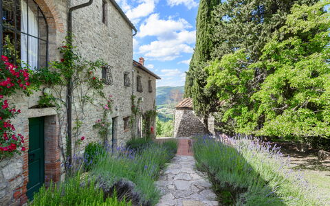 Villa Poggio La Croce: Shrub, Garden, Groundcover, Brick, Landscaping, Stone Wall, Botanical Garden, Plantation