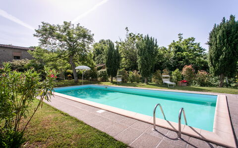 Villa Gelsi: Swimming Pool, Garden, Resort, Backyard, Landscaping, Estate, Shade, Hacienda, Eco Hotel, Yard