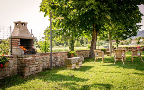 Villa Gelsi: Garden, Lawn, Shade, Outdoor Furniture, Yard, Landscaping, Backyard, Park, Chair, Eco Hotel