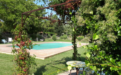 Appartamento Vele, Wifi, Near Perugia: Shrub, Garden, Shade, Spring, Backyard, Yard, Lawn, Landscaping, Flowerpot