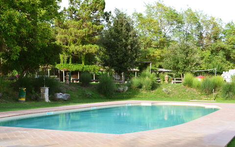 Appartamento Poggiolo, Wifi, Near Perugia: Swimming Pool, Tree, Resort, Shade, Garden, Outdoor Furniture, Leisure, Backyard, Landscaping, Water Feature