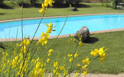 Appartamento Rustico, Wifi, Perugia: Yellow, Spring, Garden, Lawn, Landscaping, Yard, Park, Wildflower, Botanical Garden