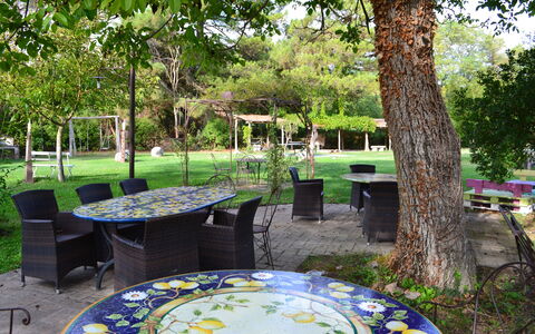 Appartamento Rustico, Wifi, Perugia: Furniture, Table, Outdoor Furniture, Chair, Garden, Outdoor Table, Shade, Lawn, Spring, Backyard