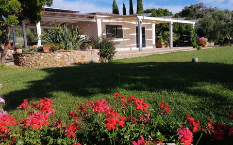 Il Tramonto: Shrub, Garden, Shade, Estate, Lawn, Hacienda, Yard, Backyard, Landscaping