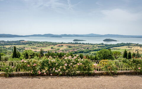 Villa Domus Papi: Landscape, Shrub, Plantation