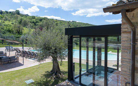 Villa Trasimena: Swimming Pool, Shade, Eco Hotel, Resort, Landscaping, Estate, Outdoor Furniture, Garden, Outdoor Structure, Backyard