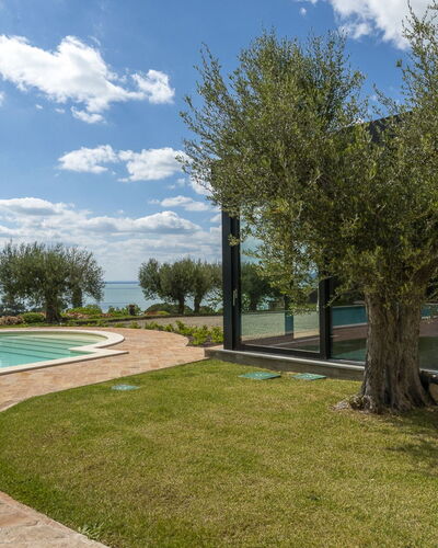 Villa Trasimena: Garden, Estate, Landscaping, Swimming Pool, Shade, Farmhouse, Villa, Backyard, Hacienda