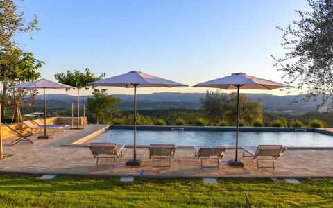 Podere Vigna Nuova: Sky, Tree, Swimming Pool, Outdoor Furniture, Sunlounger, Resort, Umbrella, Eco Hotel, Landscaping, Resort Town