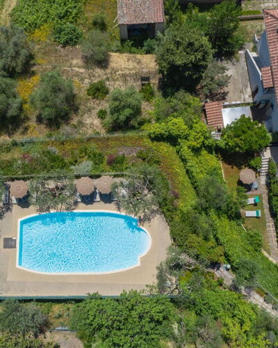Podere Oliveta: Swimming Pool, Resort, Outdoor Furniture, Hacienda, Estate, Eco Hotel, Villa, Umbrella, Resort Town, Thermae