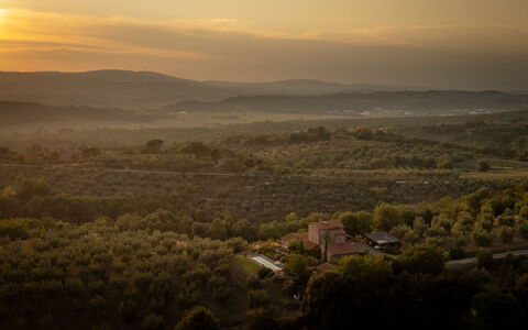 Villa Olivo: Nature, Vegetation, Natural Landscape, Horizon, Landscape, Hill, Ecoregion, Grassland, Rural Area, Evening
