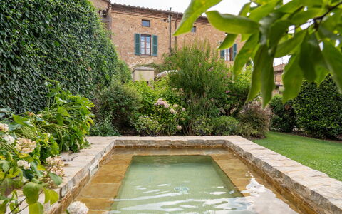 Town House Garden: Shrub, Garden, Water Feature, Landscaping, Backyard, Hedge, Courtyard, Swimming Pool, Flagstone, Botanical Garden