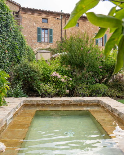 Town House Garden: Shrub, Garden, Water Feature, Landscaping, Backyard, Hedge, Courtyard, Swimming Pool, Flagstone, Botanical Garden