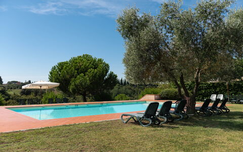 Country House In Tuscan Hills: Swimming Pool, Resort, Hacienda, Garden, Estate, Landscaping, Eco Hotel, Shade, Outdoor Furniture, Villa