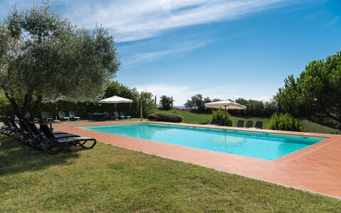 Green Hill Apartment In Tuscan Countryside: Estate, Swimming Pool, Hacienda, Landscaping, Resort, Plantation, Eco Hotel, Villa, Farmhouse